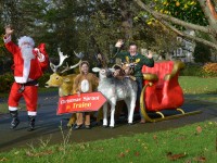 Tralee’s Star Kieran Donaghy to switch on Festive Lights as Christmas Spraoi in Tralee is launched
