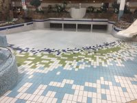 Aqua Dome Tralee Pulls Plug On Reopening Plans